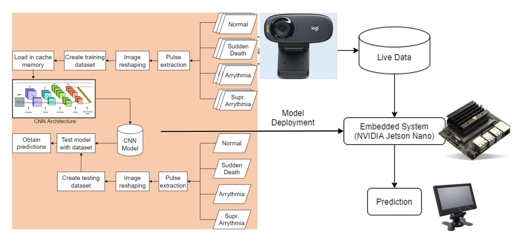 Proposed software and hardware pipeline: CNN training and testing feeding a model deployed to an NVIDIA Jetson Nano for live ECG prediction