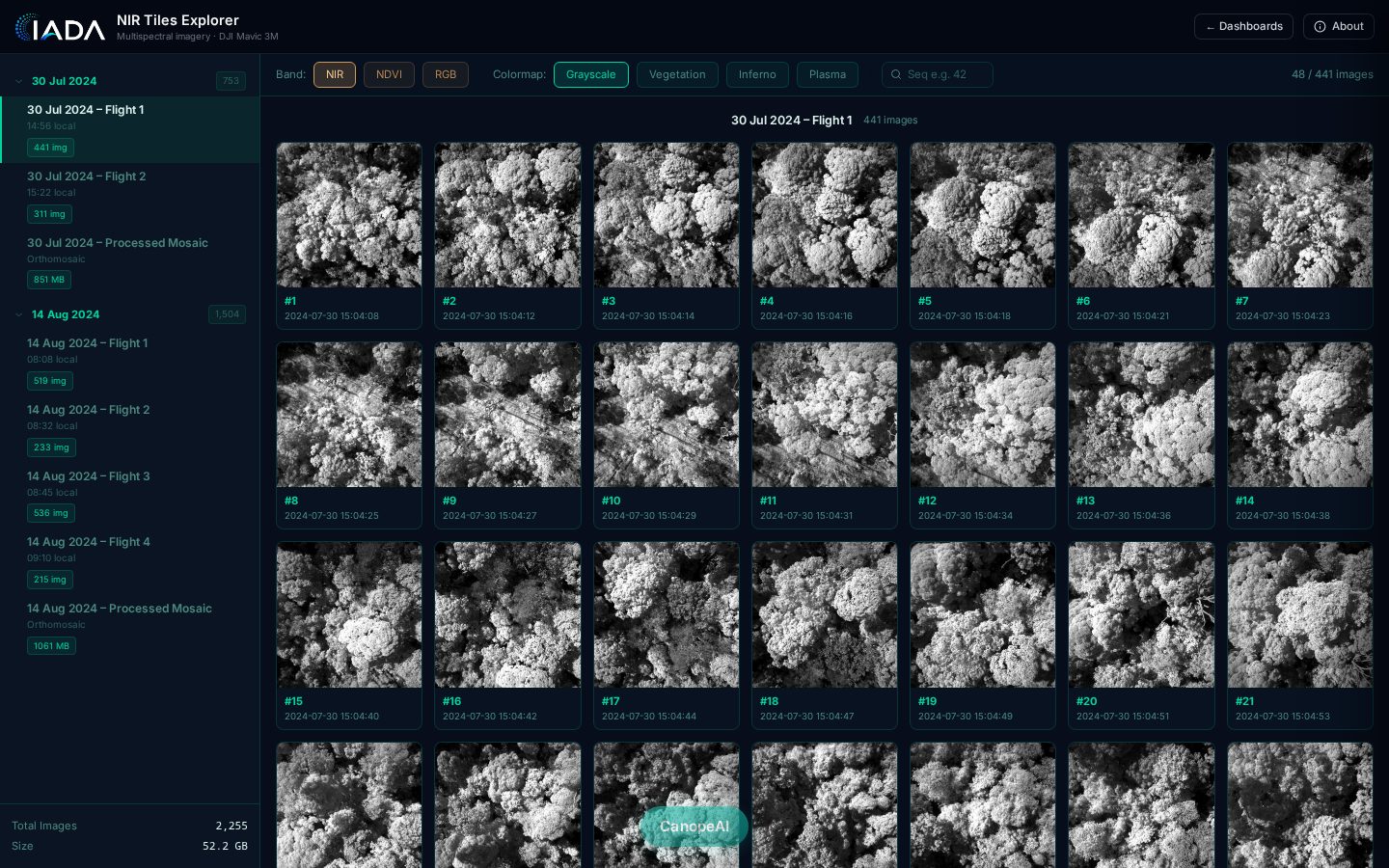 NIR Tiles Explorer in greyscale band, browsing DJI Mavic 3M canopy tiles from the 30 Jul 2024 Flight 1, with band toggles and a per-flight sidebar.